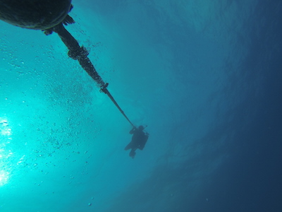 Descending on The Duane, Key Largo, FL